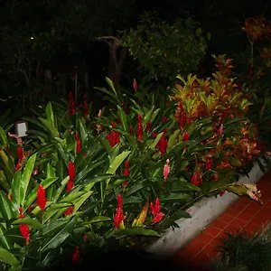 L'ecomusee Creole De La Guadeloupe , Sainte-Rose Guadeloupe